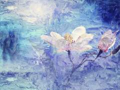 𝚟𝚊𝚜𝚝𝚞𝚜_