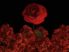 시리우스와 스네이프: 다른듯 너무 닮은 둘