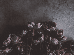 그럼에도 악몽은 계속되겠지만 11