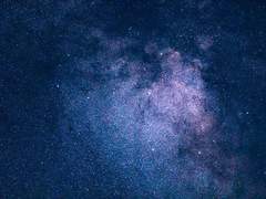 시오 / 17 / XY 프로필