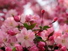 [청려문대] 시작하는 봄, 보내는 겨울. 봄 편