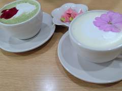 사람들이 카페로 하나둘