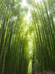 빙하청추 자유 주제 합작