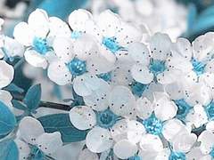 고인의 명복을 빕니다