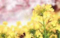 [세븐틴 조각글 / 팬픽] [찬른/순찬/원찬] - 白日夢(백일몽) 上