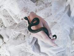 𝑳𝒂𝒖𝒓𝒆𝒏𝒄𝒆 𝑶𝒅é𝒍𝒊𝒆 𝑨𝒃𝒃𝒐𝒕