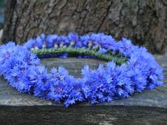 [존아서] 살인자의 귓가엔 꽃을