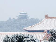 쌍룡행(雙龍行) : 第七章