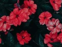 부디 눈물을 흘려주시길!