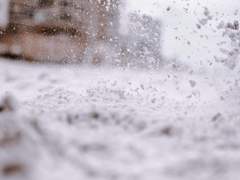 차가운 기운이 채 가시지 않은 편지