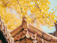 담장 너머 잔가지 21.