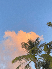 자잘자잘 쾌른 단편들