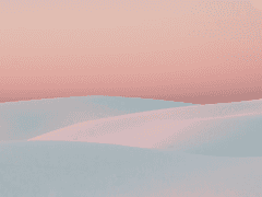 편의점에서 그린거