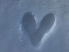 겨울 그리고 봄.