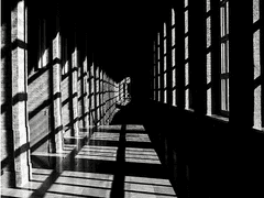 새장 속의 고래-'에슨 텔레케스' 독백