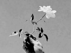 보랏빛의 그 아이.