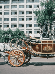 우린 이걸 스파이라고 부르기로 한 적이 없어요