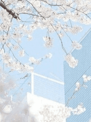 좋아해, 그리고 사랑해