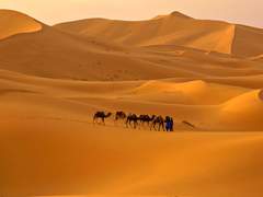 소설/마지막 선물/제9회