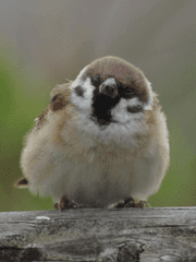 나는 왜 살아야 할까요