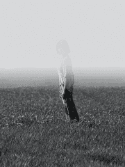 밤을 뛰놀다 도리벤 드림