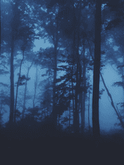 맙이노기(프로필)