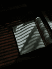 홍콩 누아르_작업물