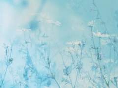 [제네로아] 空白에게