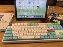 11월 14일 일요일