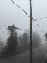 글 커미션 샘플