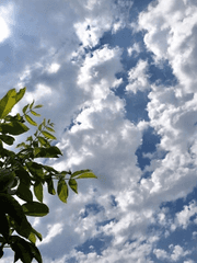 눈이 햇살에 닿아 녹아내리다