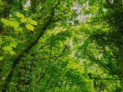 [금영영인] 이름