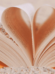 봄, 여름, 가을, 겨울. 그리고 사랑