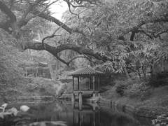 서휘언/20/프로필