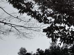 [𝙿𝚁𝙾𝙵𝙸𝙻𝙴] 고아현