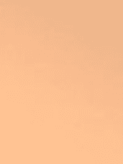 검사니 전력한거