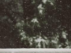 약간 두툼한 흰색의 편지 봉투