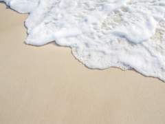 [ 은건율 ✂ XY ]