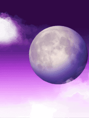 나와 너의 일기