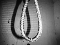 월요일에는 줄을 삶자