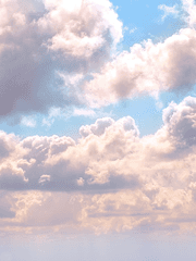 테스타 뇌내망상