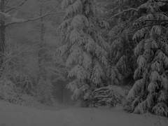 [아츠키타]몰락의 아가페 00