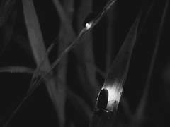 [오키카구] 서당에 가고 싶어 - 에필로그