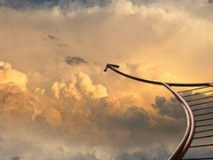 [후르츠바스켓/BL] 잔흔 16