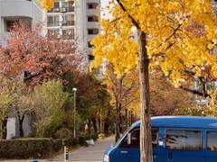 동네의 가을 낮과 밤