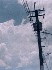 역시나 지구 멸망은 곤란한가요?