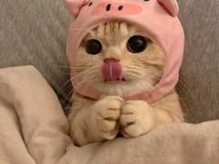 쁘띠쁘띠 Talk 10