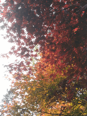 [청려문대] 느릿한 짜릿한