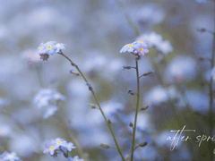 after spring