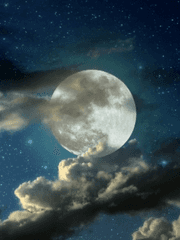 파란 달이 이끈 잊고 싶지 않은 시간